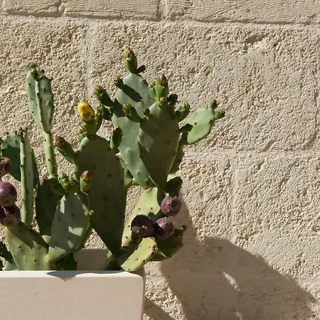 Frühstückspension Antica Via Roma E Relax Montalbano (Apulia)