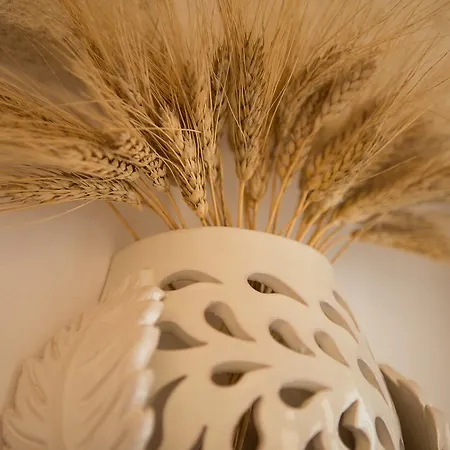 Frühstückspension Antica Via Roma E Relax