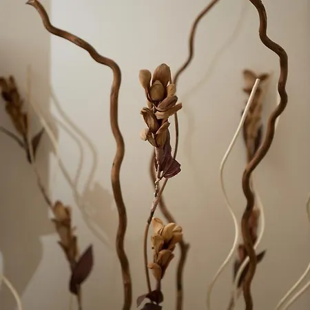 Bed and Breakfast Antica Via Roma E Relax 4*